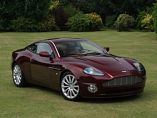 maroon coupe on green grass field