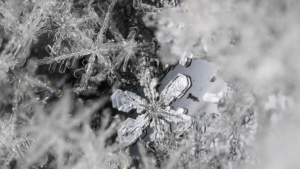 clear snowflake, ice, macro HD wallpaper