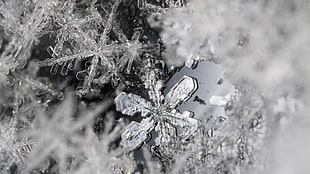 clear snowflake, ice, macro