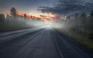 grey road, nature, landscape, photography, morning