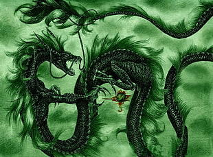 black dragon illustration, dragon