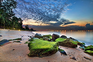 green stone fragment, beach, palm trees, sand, sea