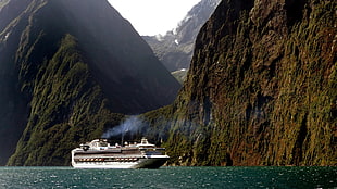 white cruise ship, nature, landscape, sea, New Zealand