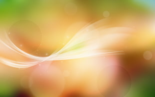 close up photo of Bookeh photography