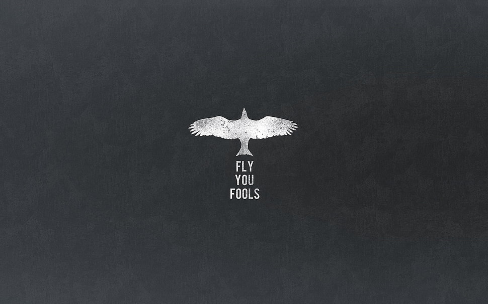 black background with Fly You Fools text overlay, quote, The Lord of the Rings, Gandalf, minimalism HD wallpaper