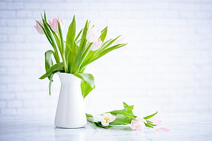 calla lily flower arrangement HD wallpaper