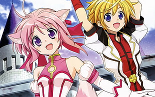 pink and yellow haired anime characters