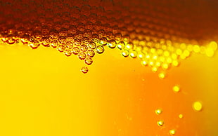 clear bubbles, beer, bubbles HD wallpaper