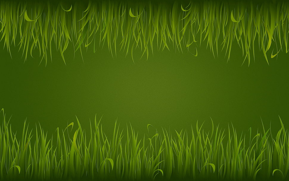 green grass graphic wallpaper HD wallpaper