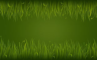 green grass graphic wallpaper