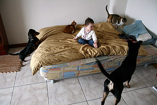 baby in white and blue clothes sitting on bed surrounded by pets