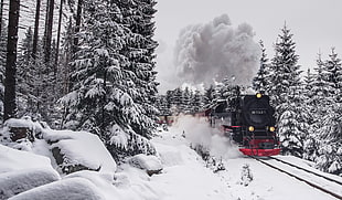 black and red train, train, vehicle, Steam Train, winter HD wallpaper