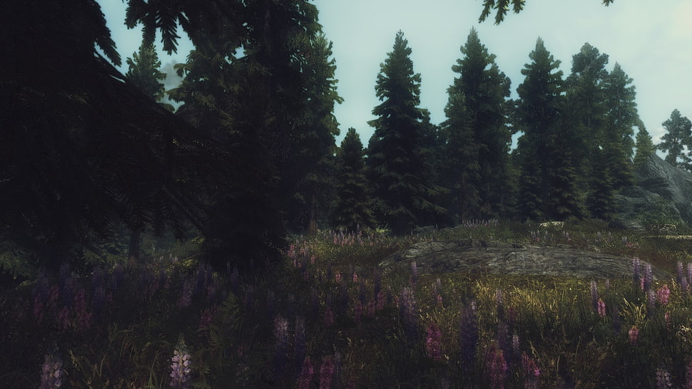 bed of purple petaled flowers, landscape, The Elder Scrolls V: Skyrim, video games HD wallpaper