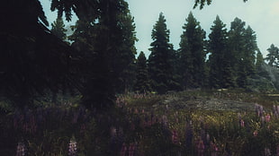 bed of purple petaled flowers, landscape, The Elder Scrolls V: Skyrim, video games
