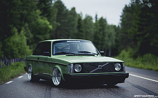 green Volvo coupe, car, Volvo, road, trees
