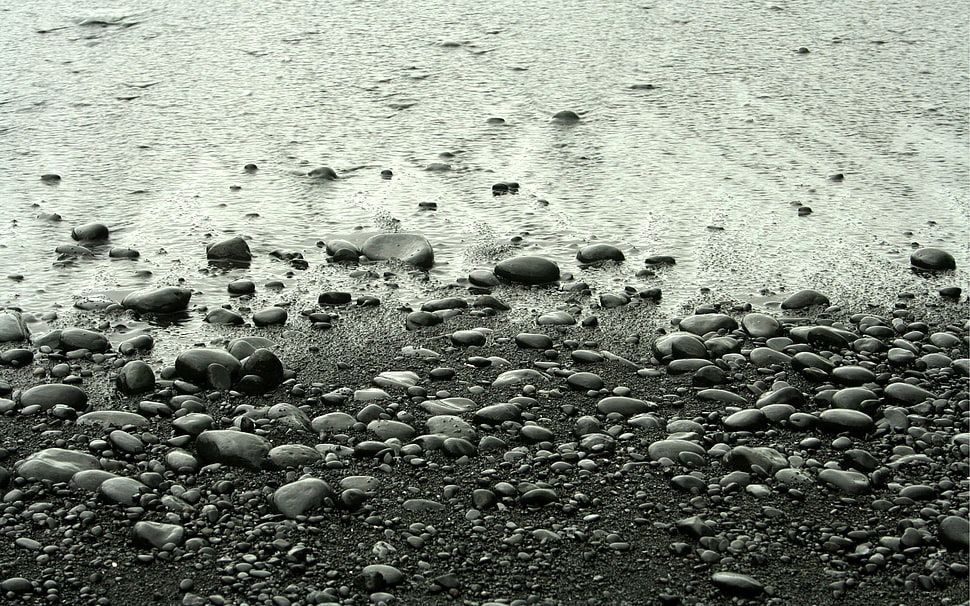 rocks beside water flow gray scale photo HD wallpaper
