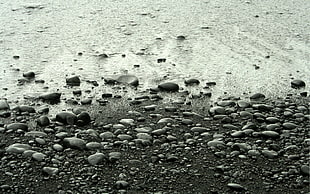 rocks beside water flow gray scale photo