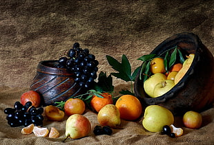 apples, grapes, pears and oranges