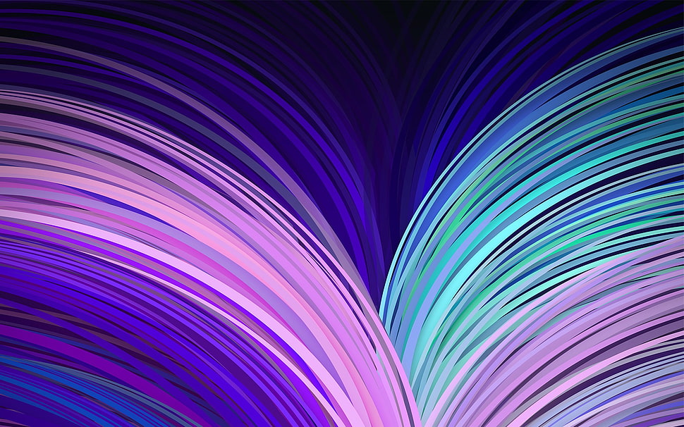 assorted color illustration HD wallpaper