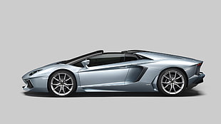 gray and black car toy, Lamborghini Aventador, Lamborghini, car
