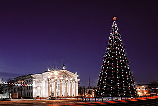 grey and brown concrete building with large christmas tree