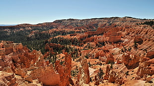Canyons,  Height,  Trees,  Desert HD wallpaper