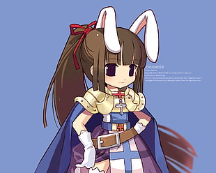 Crusader anime character illustration