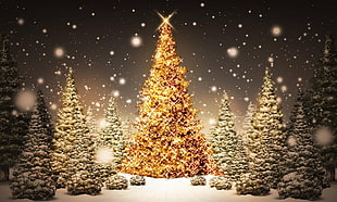 Christmas Tree HD wallpaper