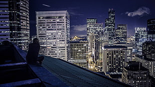 gray concrete building, city, cityscape, night, rooftops