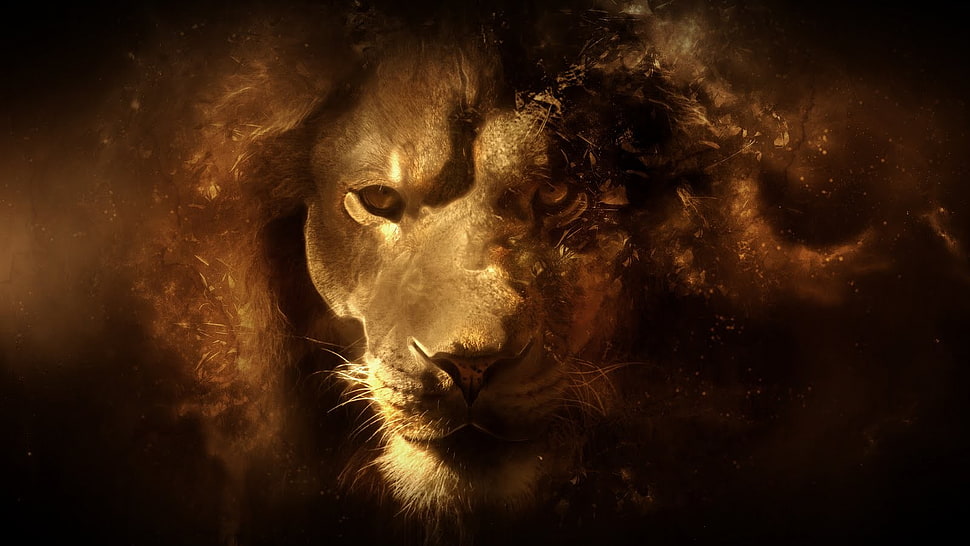 male lion wallpaper, lion, animals, digital art HD wallpaper