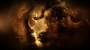 male lion wallpaper, lion, animals, digital art