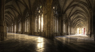 brown hallway, Gothic architecture, architecture, sunlight, old building HD wallpaper