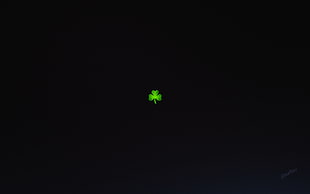 clover leaf, artwork, simple background, clovers