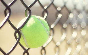 green tennis ball, sport , tennis, ball, tennis balls HD wallpaper