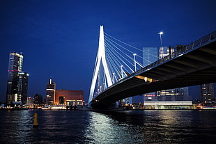 gray metal bridge above body of water during nighttime HD wallpaper