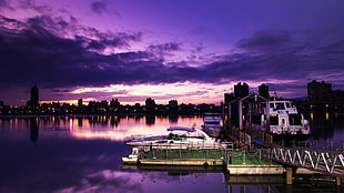 white and purple personal watercraft beside dock HD wallpaper