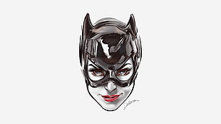DC Universe Catwoman illustration