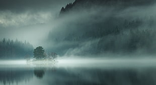 still body of water, nature, landscape, lake, mist