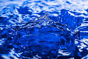 closeup photography of body of water