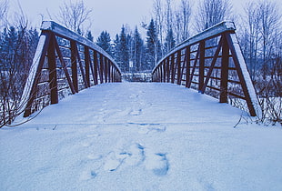 black metal bridge, Bridge, Snow, Traces