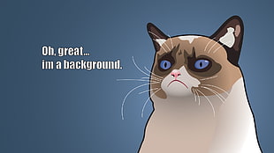 oh, great im a background cat