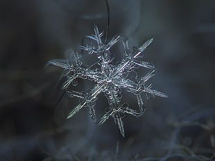 crystal snowflake HD wallpaper