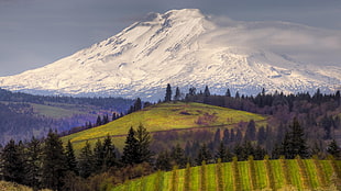 snowy mountain photo during daytime