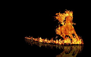 fire horse digital wallpaper, horse, fire, render, minimalism HD wallpaper