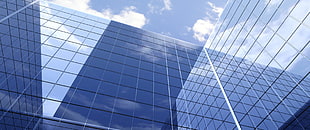 white and black area rug, skyscraper, reflection, sky