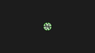 green and black N logo, minimalism