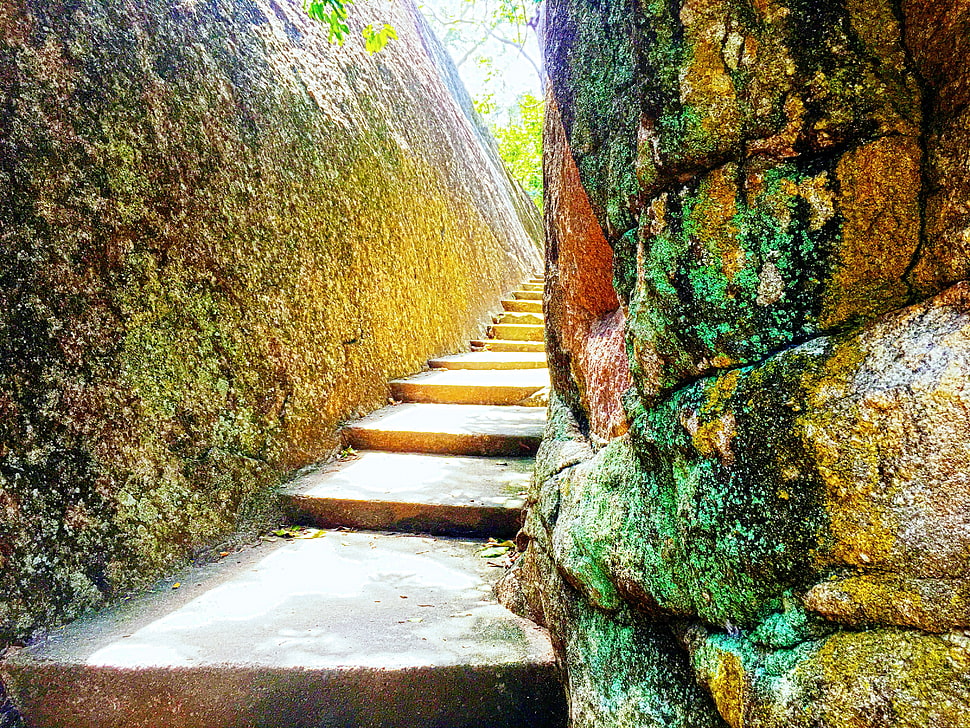 gray concrete stair, Sri Lanka, nature, sea, road HD wallpaper