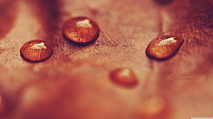 water drop on brown surface in tilt photo