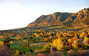 brown mountain during daytime