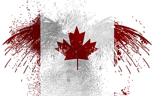 Canada Flag, Canada, red, white, Canadian flag